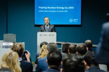 Nazir müavini COP29 çərçivəsində nüvə enerjisindən istifadənin artırılmasına dair müzakirələrdə iştirak edib (FOTO)