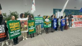 COP29 çərçivəsində iqlim maliyyəsinin ədalətli şəkildə formalaşdırılması tələbi ilə aksiya keçirilib (FOTO/VİDEO)
