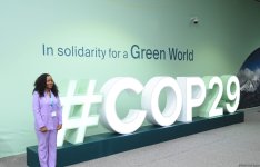 COP29-un dördüncü günündən FOTOREPORTAJ