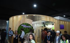 COP29 məkanında pavilyonlardan FOTOREPORTAJ