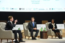 COP29 çərçivəsində biznes, investisiya və xeyriyyəçilik üzrə İqlim Platforması təşkil edilib (FOTO)