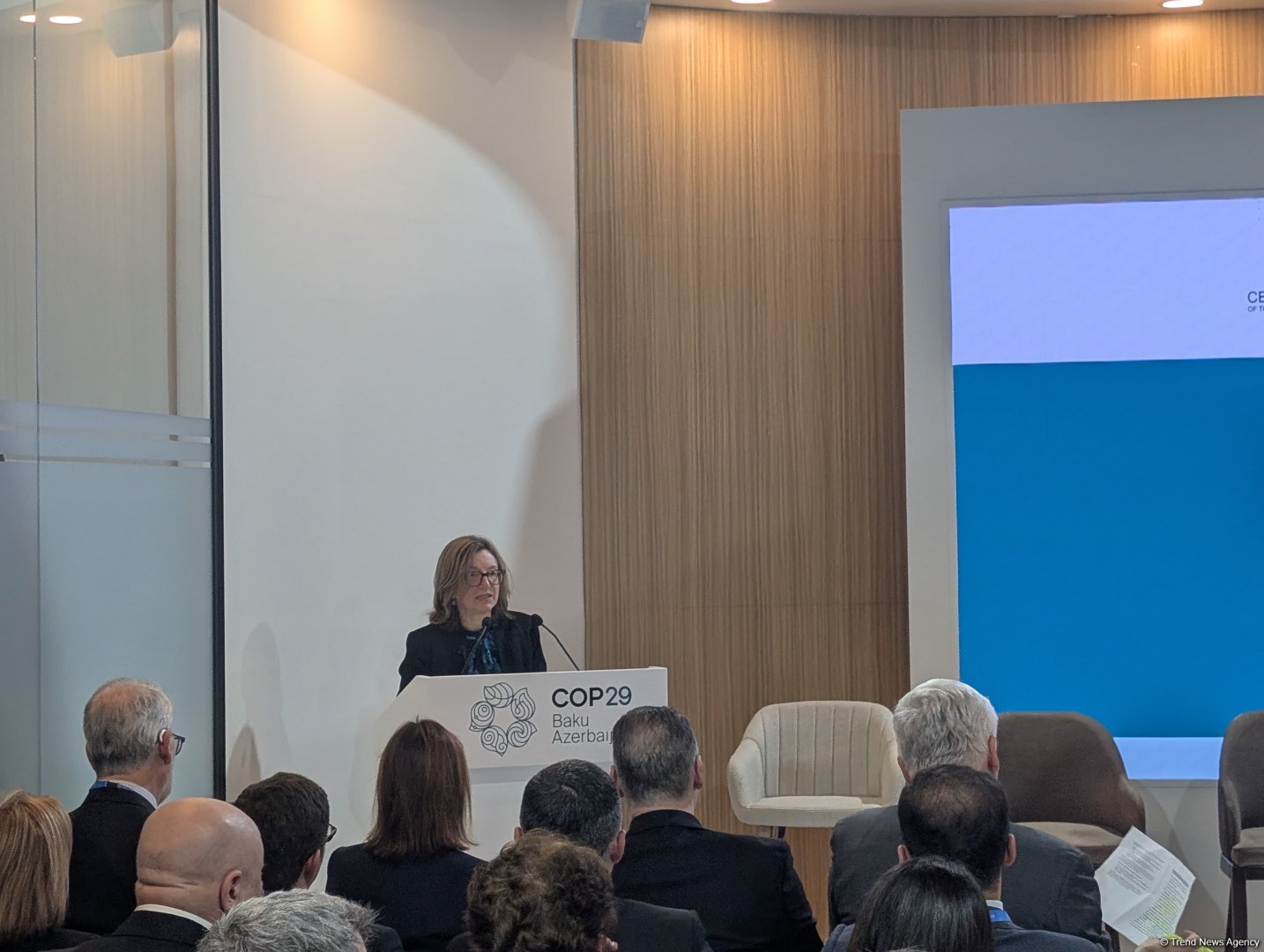 COP29-da Maliyyə, İnvestisiya və Ticarət Günü çərçivəsində dayanıqlı maliyyələşdirmə mövzusunda panel müzakirə keçirilib (FOTO)