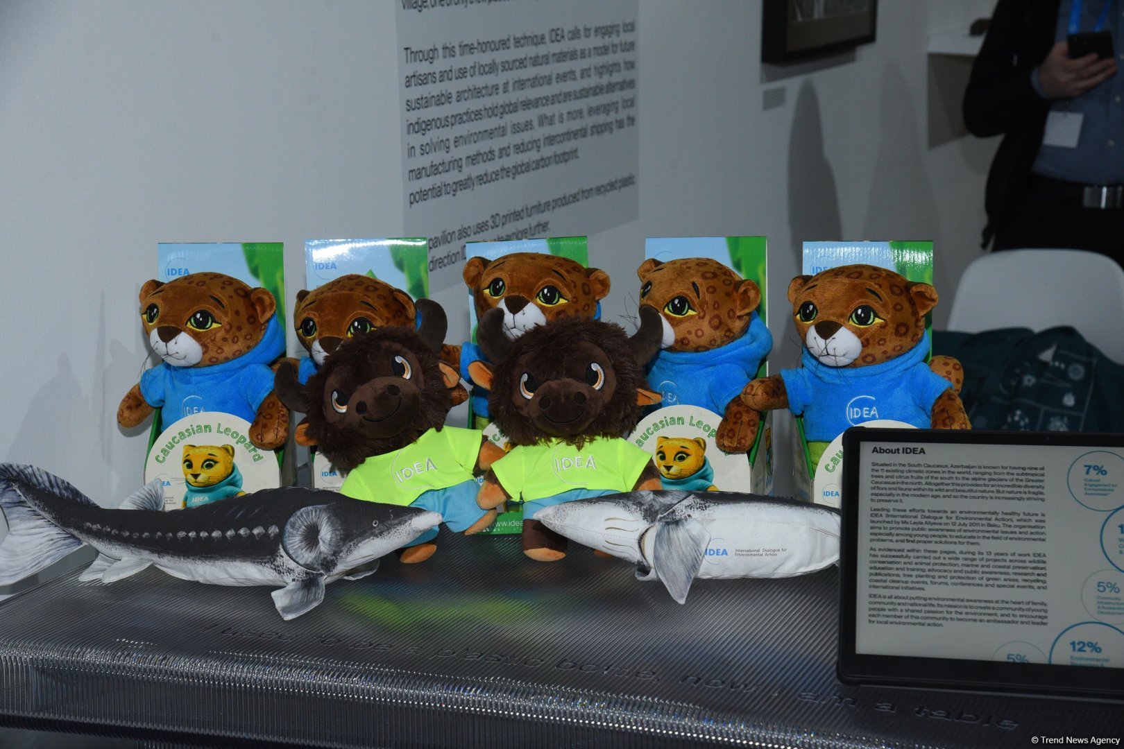 COP29 məkanında pavilyonlardan FOTOREPORTAJ