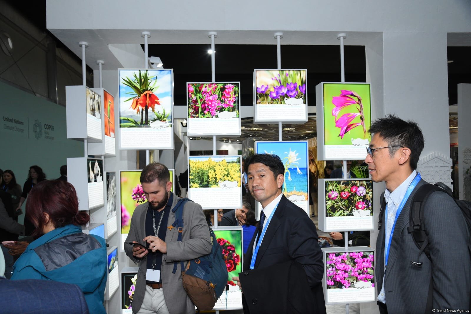 COP29 məkanında pavilyonlardan FOTOREPORTAJ