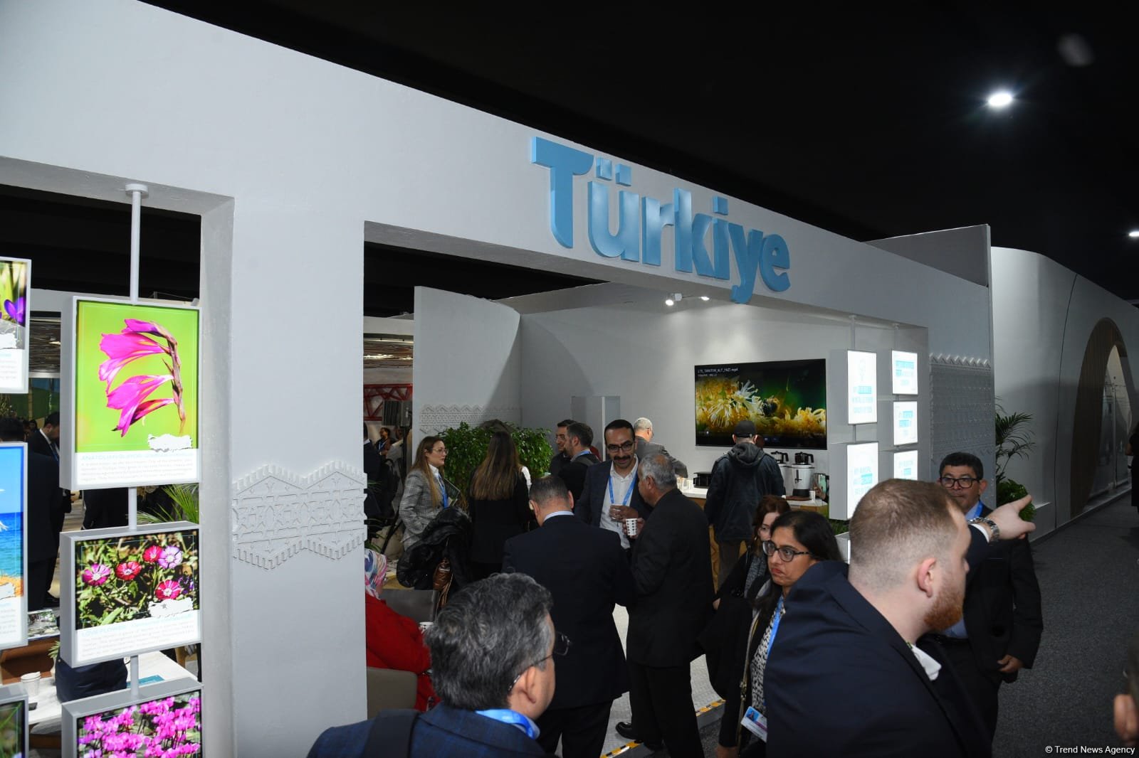 COP29 məkanında pavilyonlardan FOTOREPORTAJ