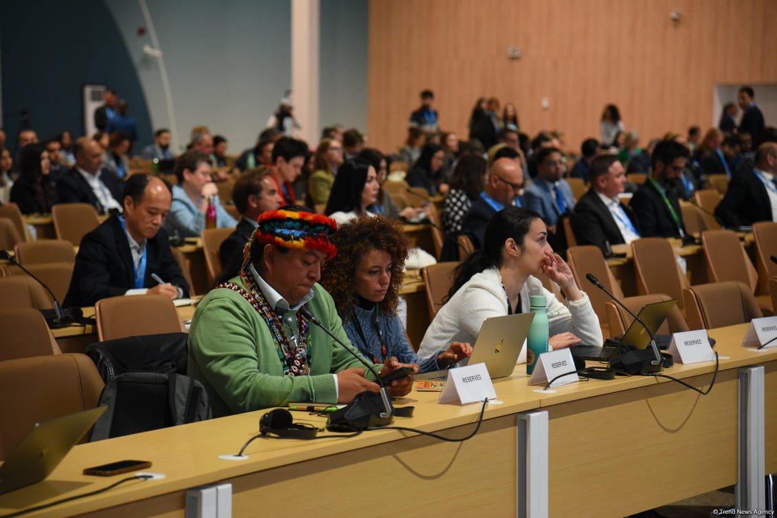 COP29 çərçivəsində biznes, investisiya və xeyriyyəçilik üzrə İqlim Platforması təşkil edilib (FOTO)