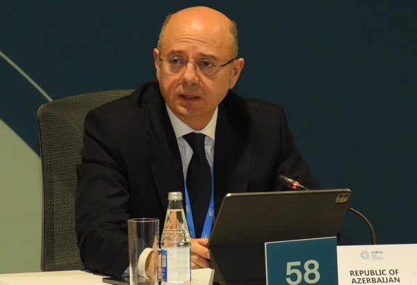 Regiondan müxtəlif istiqamətlərə enerji ixracı yaşıl siyasətimizin vacib hissəsini təşkil edir - Pərviz Şahbazov