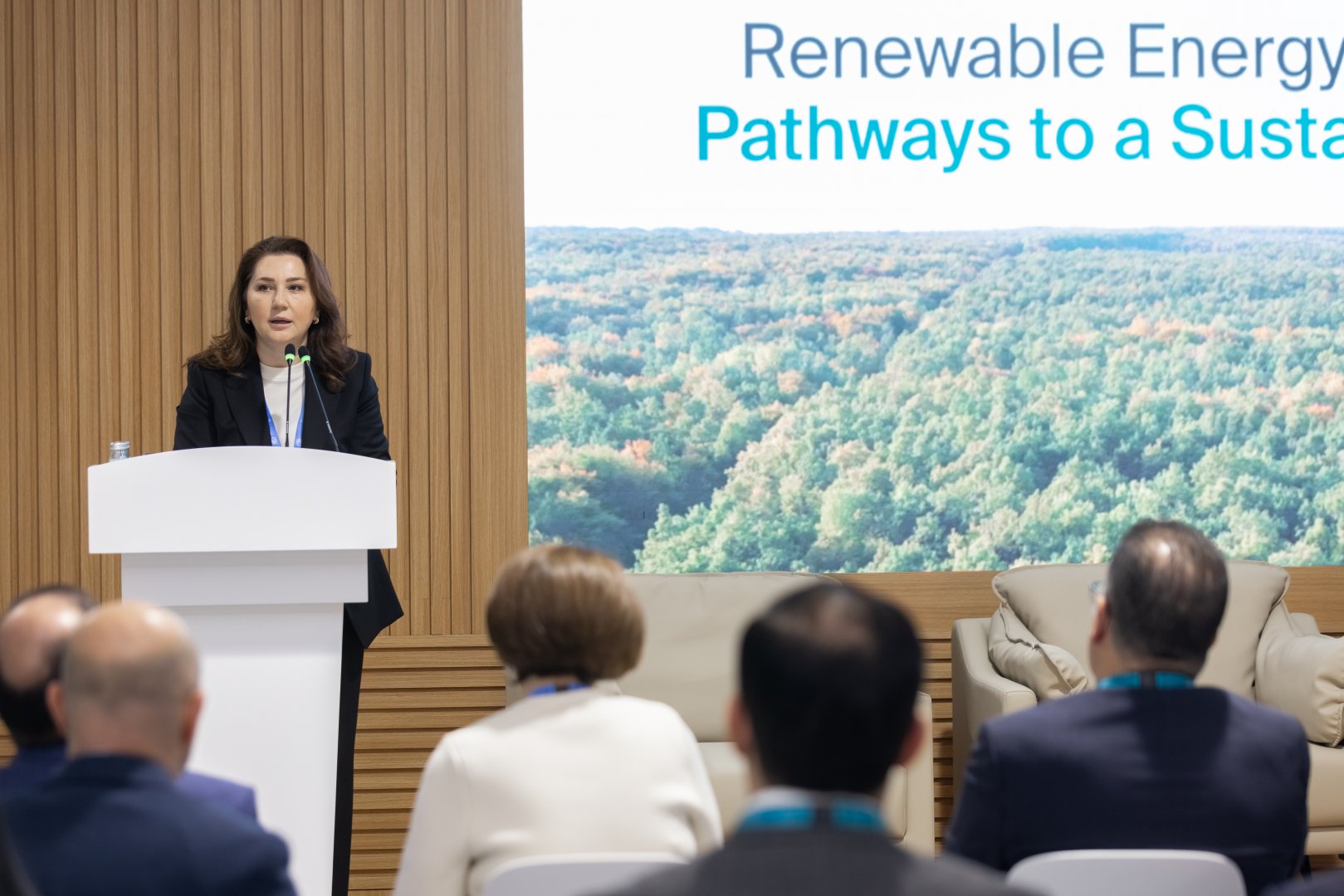 "Azerbaijan Green Energy Company" MMC COP29-da bərpa olunan enerjiyə yatırımlar istiqamətində panel müzakirəsi təşkil edib (FOTO)