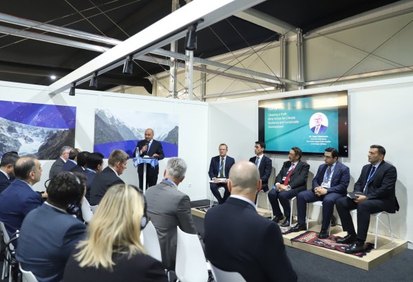 COP29 çərçivəsində ANAMA və BMTİP birgə mina təhlükəsi ilə mübarizə və ekoloji dayanıqlılıq üzrə yan tədbir keçirib (FOTO)