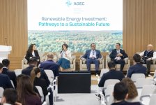 "Azerbaijan Green Energy Company" MMC COP29-da bərpa olunan enerjiyə yatırımlar istiqamətində panel müzakirəsi təşkil edib (FOTO)