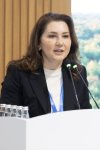 "Azerbaijan Green Energy Company" MMC COP29-da bərpa olunan enerjiyə yatırımlar istiqamətində panel müzakirəsi təşkil edib (FOTO)