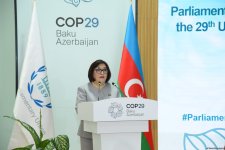 COP29 çərçivəsində Parlament Görüşünün açılışı olub (FOTO) (ƏLAVƏ EDİLİB)