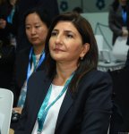 COP29 çərçivəsində Parlament Görüşünün açılışı olub (FOTO) (ƏLAVƏ EDİLİB)