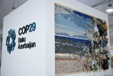 COP29-un Yaşıl Zonasında “Rəqəmsal iqlim inqilabı üçün gənclərin səlahiyyətləndirilməsi” mövzusunda panel sessiyası keçirilib (FOTO)