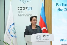 COP29 çərçivəsində Parlament Görüşünün açılışı olub (FOTO) (ƏLAVƏ EDİLİB)