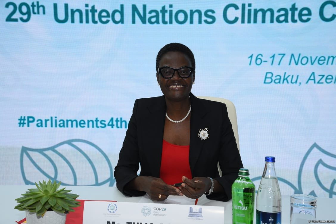 COP29 çərçivəsində keçirilən Parlament görüşünə 300-dən çox parlament üzvü qatılıb - IPU prezidenti