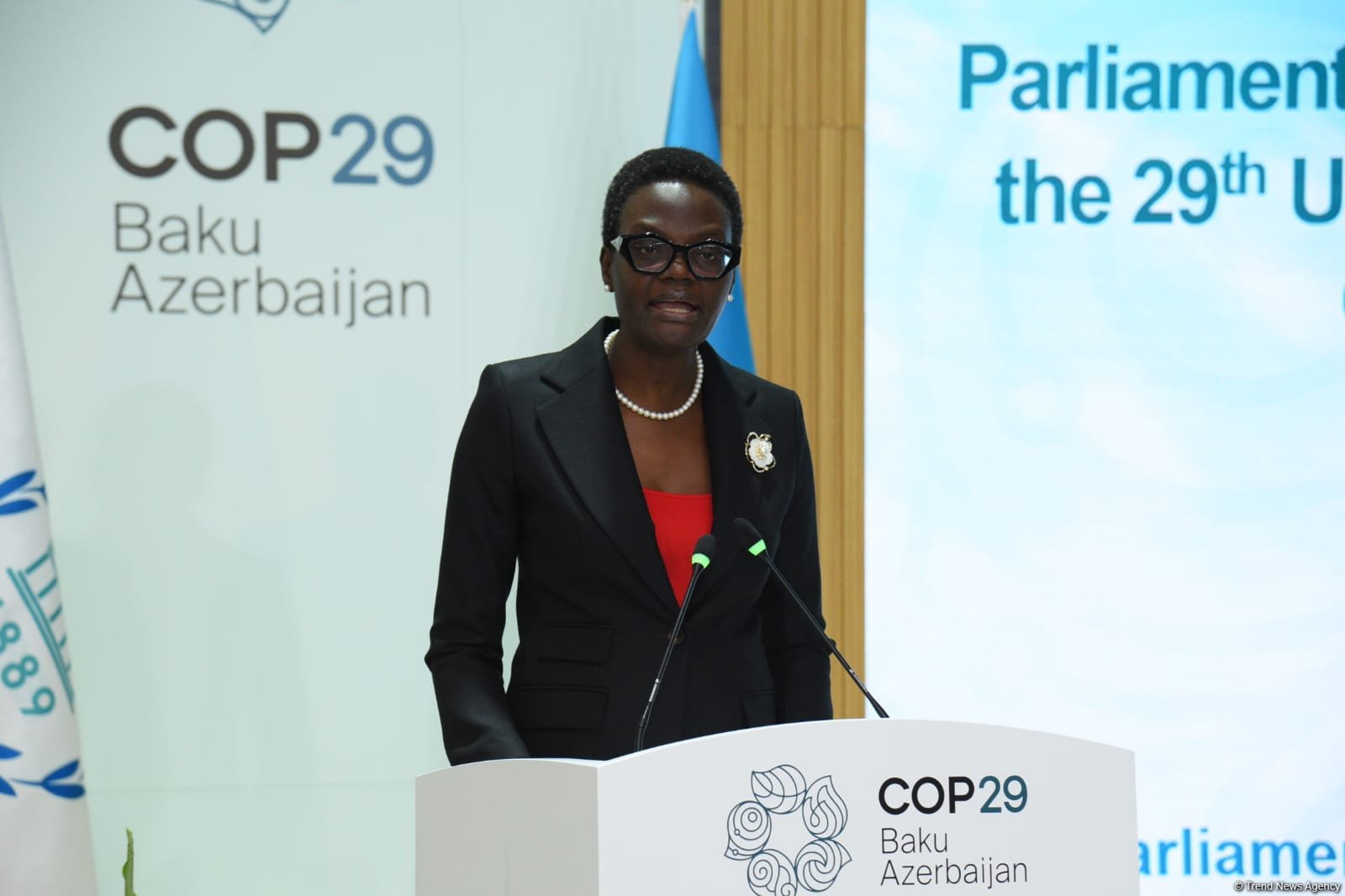 COP29 çərçivəsində Parlament Görüşünün açılışı olub (FOTO) (ƏLAVƏ EDİLİB)
