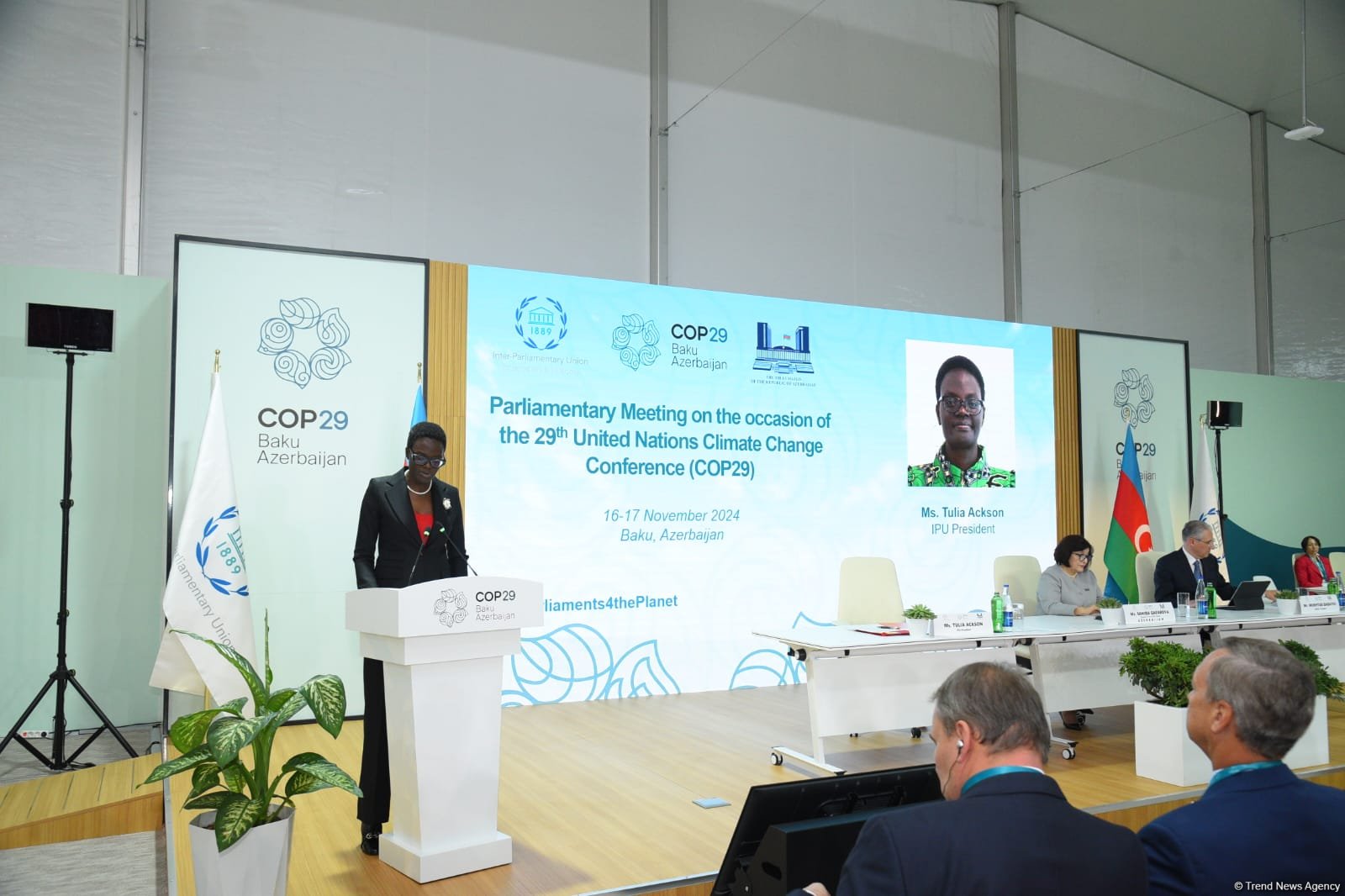 Parlament üzvləri iqlim dəyişikliyi ilə mübarizədə məsuliyyət daşıyır - IPU prezidenti
