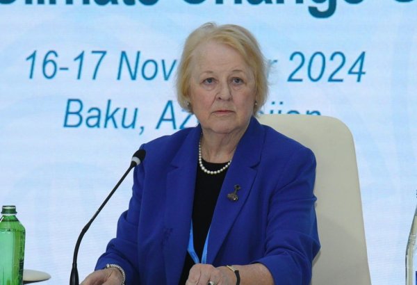Qadınlar iqlimlə bağlı qərarların qəbulu proseslərində kifayət qədər təmsil olunmurlar - Yan Biql