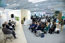 COP29 çərçivəsində "Karbon qazının mədəni və kreativ azaldılması: Beynəlxalq ssenari" adlı forum keçirildi (FOTO)