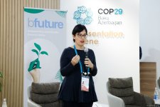 COP29 çərçivəsində "Karbon qazının mədəni və kreativ azaldılması: Beynəlxalq ssenari" adlı forum keçirildi (FOTO)