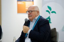 COP29 çərçivəsində "Karbon qazının mədəni və kreativ azaldılması: Beynəlxalq ssenari" adlı forum keçirildi (FOTO)