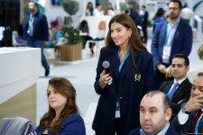 COP29 çərçivəsində "Karbon qazının mədəni və kreativ azaldılması: Beynəlxalq ssenari" adlı forum keçirildi (FOTO)