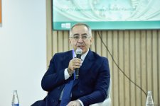 COP29 çərçivəsində "Karbon qazının mədəni və kreativ azaldılması: Beynəlxalq ssenari" adlı forum keçirildi (FOTO)