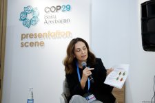 COP29 çərçivəsində "Karbon qazının mədəni və kreativ azaldılması: Beynəlxalq ssenari" adlı forum keçirildi (FOTO)