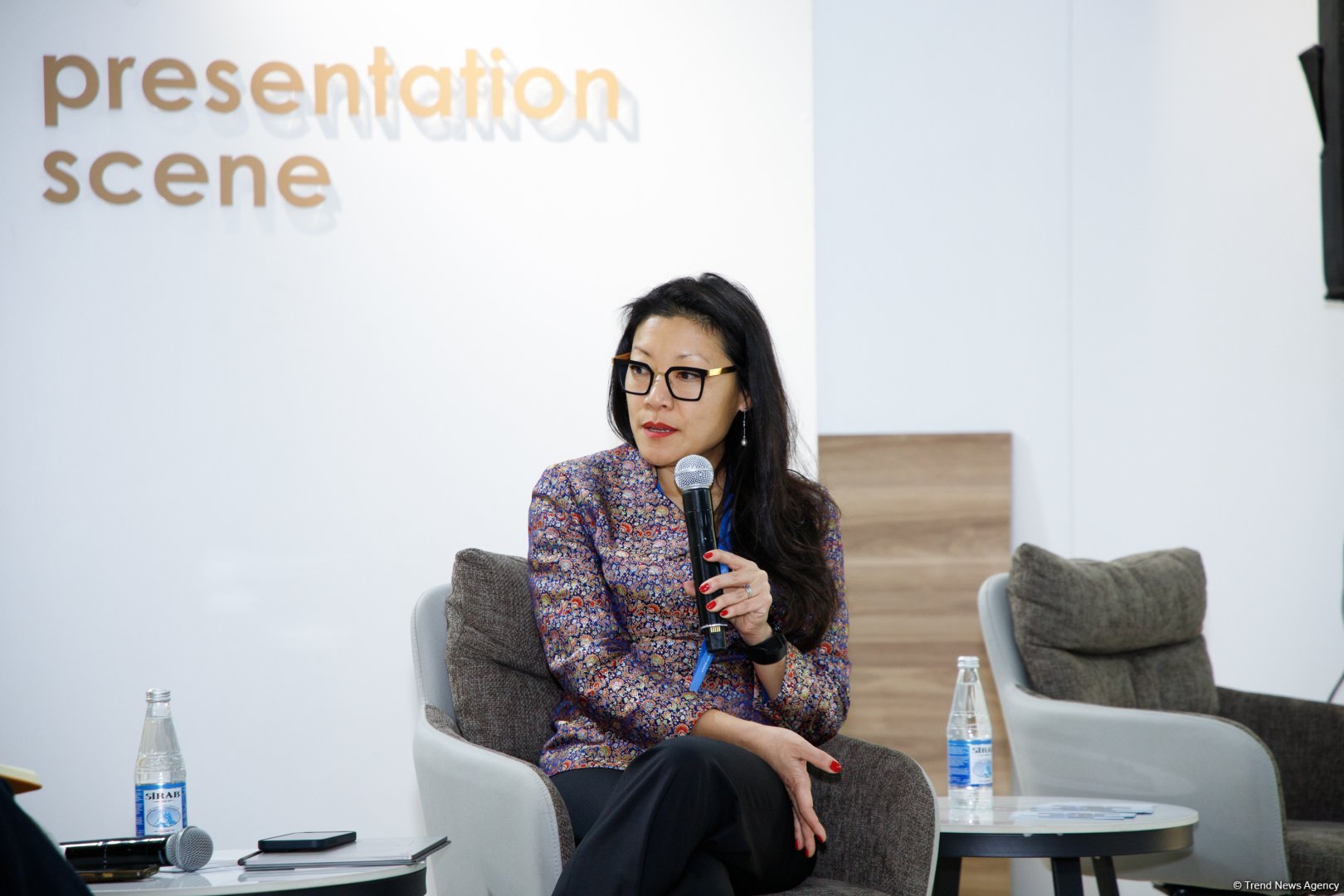 COP29 çərçivəsində "Karbon qazının mədəni və kreativ azaldılması: Beynəlxalq ssenari" adlı forum keçirildi (FOTO)