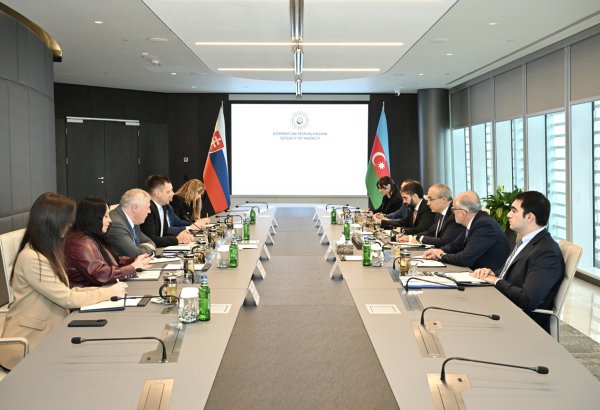 Azərbaycan Slovakiya ilə bərpa olunan enerji sahələrində əməkdaşlığın genişləndirilməsini müzakirə edib