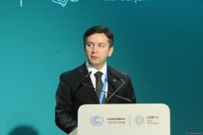 COP29 çərçivəsində İqlimə davamlı gələcək üçün insan inkişafına sərmayə qoyuluşu üzrə Yüksək Səviyyəli Görüş keçirilib (FOTO)