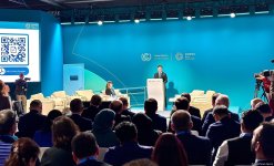 COP29 çərçivəsində İqlimə davamlı gələcək üçün insan inkişafına sərmayə qoyuluşu üzrə Yüksək Səviyyəli Görüş keçirilib (FOTO)