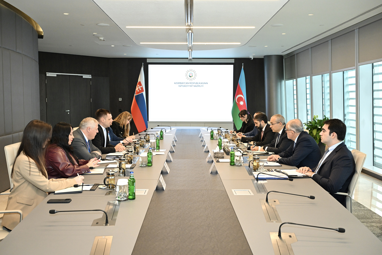 Azərbaycan Slovakiya ilə bərpa olunan enerji sahələrində əməkdaşlığın genişləndirilməsini müzakirə edib