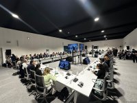 COP29 çərçivəsində regional aqro-ərzaq təşəbbüsləri ilə bağlı tədbir keçirilib (FOTO)