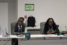 COP29 çərçivəsində regional aqro-ərzaq təşəbbüsləri ilə bağlı tədbir keçirilib (FOTO)