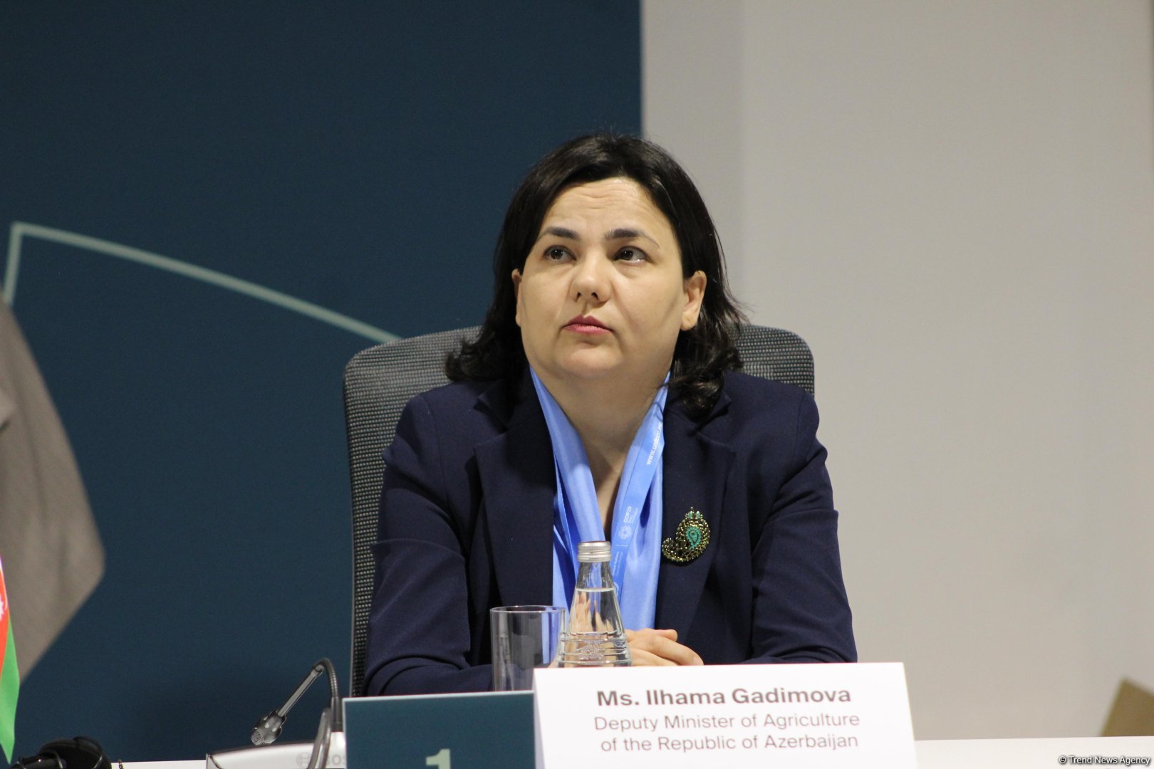 COP29 çərçivəsində regional aqro-ərzaq təşəbbüsləri ilə bağlı tədbir keçirilib (FOTO)