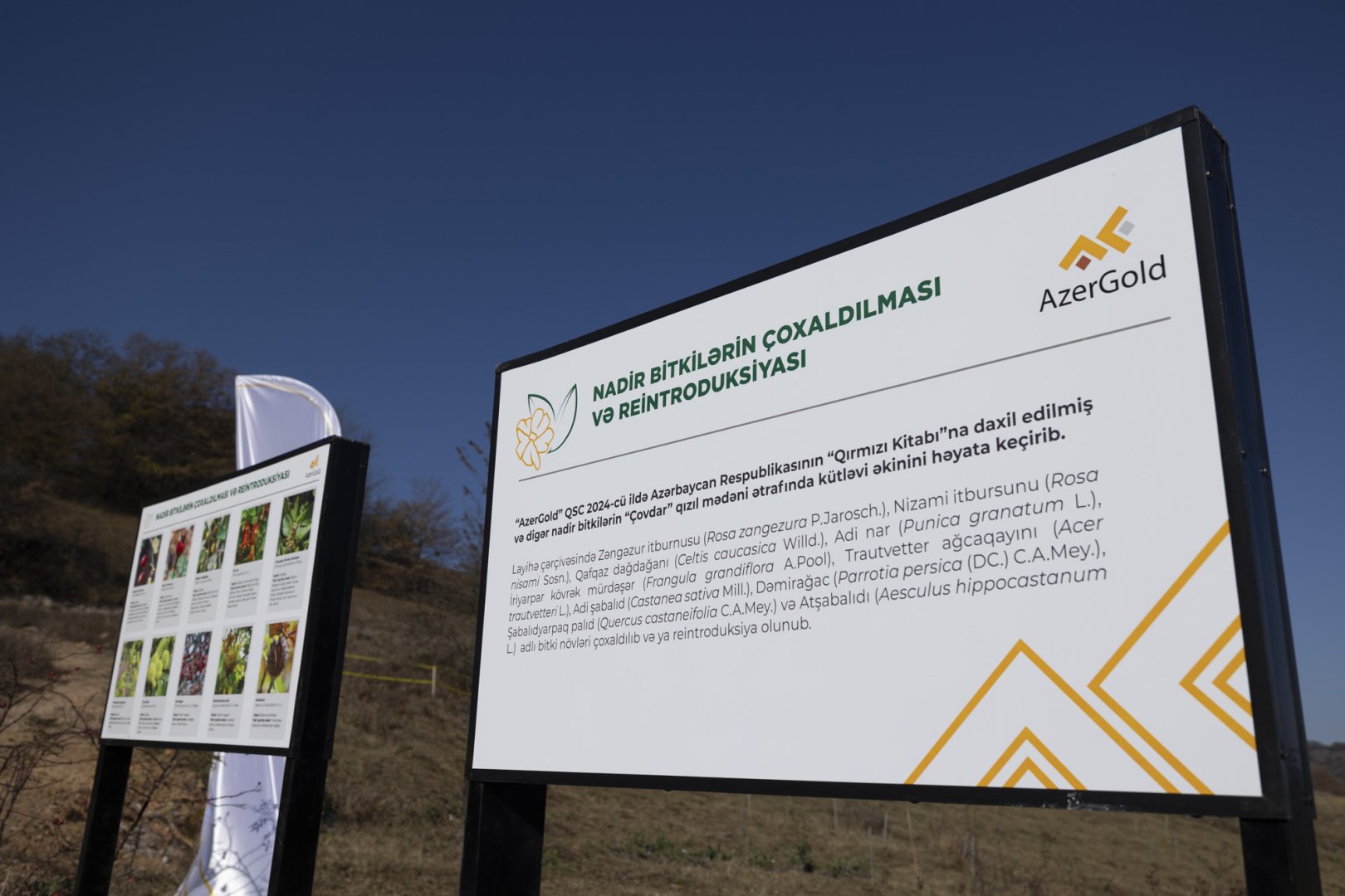 “AzerGold” QSC “Daşkəsən rayonunda bitən nadir bitkilərin reintroduksiyası” layihəsini uğurla icra edib (FOTO)