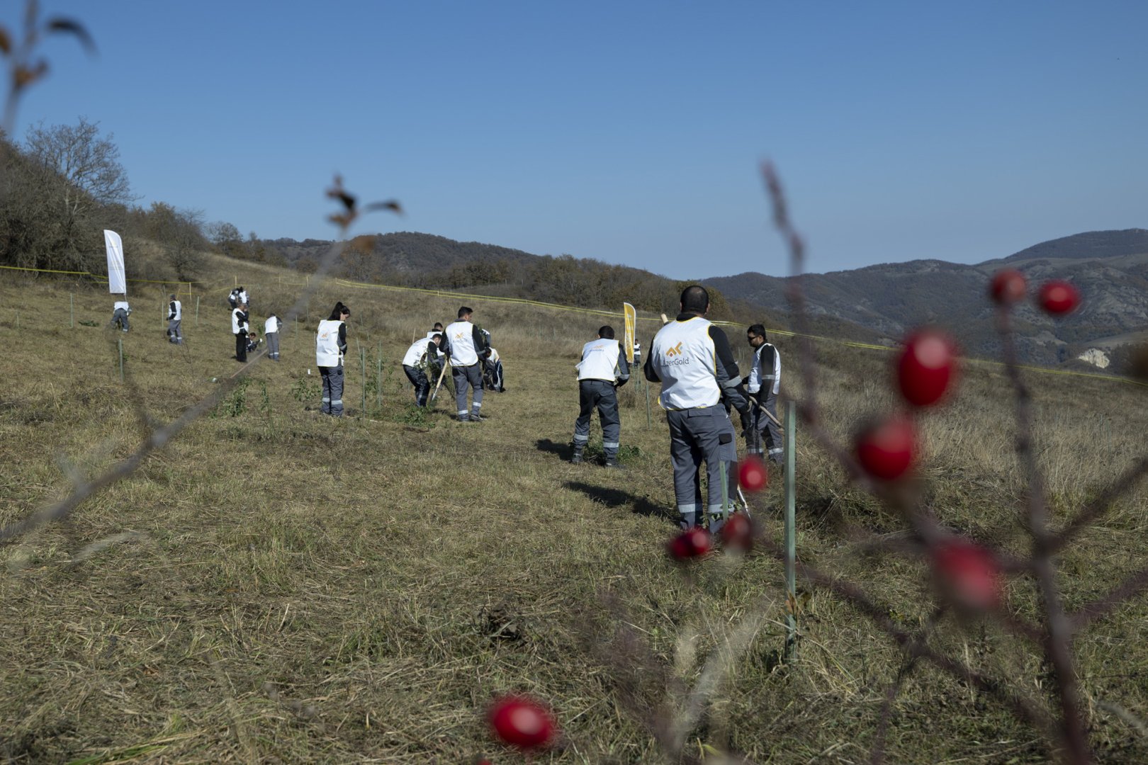 “AzerGold” QSC “Daşkəsən rayonunda bitən nadir bitkilərin reintroduksiyası” layihəsini uğurla icra edib (FOTO)