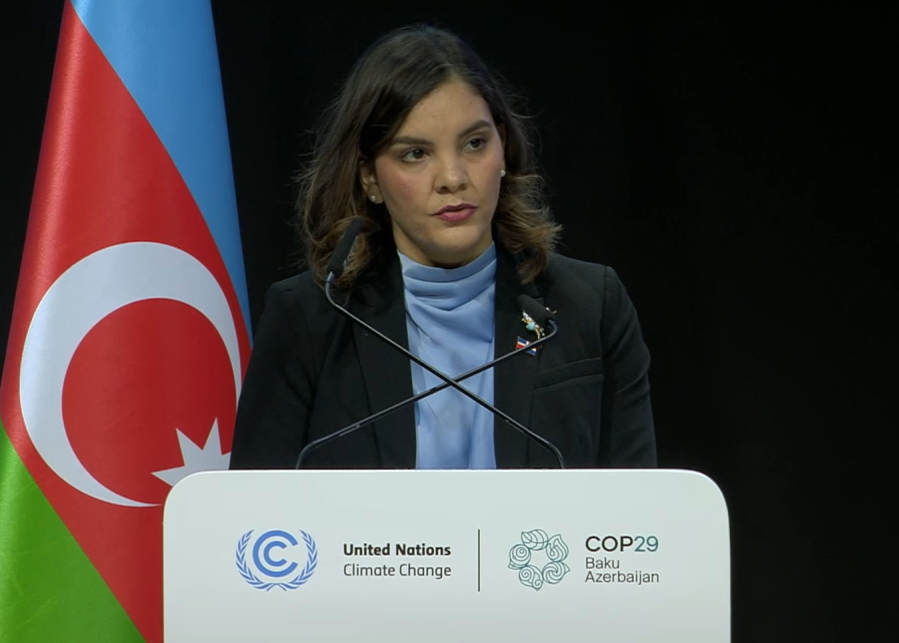 Dominikan Respublikası COP29-da iqlim dəyişikliyi ilə mübarizə üçün birgə səylərə çağırır