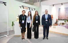 Heydər Əliyev Fondunun vitse-prezidenti Leyla Əliyeva və Bakı Media Mərkəzinin rəhbəri Arzu Əliyeva COP29-da təqdim edilən inklüziv sərgi ilə tanış olublar (FOTO)