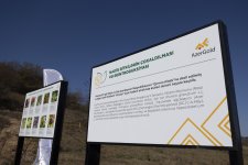 “AzerGold” QSC “Daşkəsən rayonunda bitən nadir bitkilərin reintroduksiyası” layihəsini uğurla icra edib (FOTO)