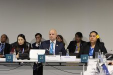 COP29-da Yaşıl tikinti və binalarda enerji səmərəliliyi və şəhərlərdə iqlimə davamlılıq mövzusunda Yüksək Səviyyəli Dəyirmi Masa keçirilib (FOTO)