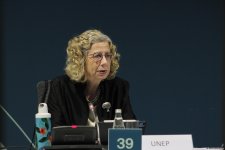 COP29-da Yaşıl tikinti və binalarda enerji səmərəliliyi və şəhərlərdə iqlimə davamlılıq mövzusunda Yüksək Səviyyəli Dəyirmi Masa keçirilib (FOTO)