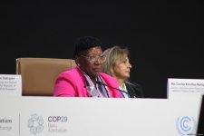 COP29-da çoxsəviyyəli və çoxsektorlu iqlim fəaliyyətinə dair  yüksək səviyyəli açılış mərasimi keçirilib (FOTO)