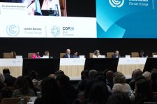 COP29-da çoxsəviyyəli və çoxsektorlu iqlim fəaliyyətinə dair  yüksək səviyyəli açılış mərasimi keçirilib (FOTO)