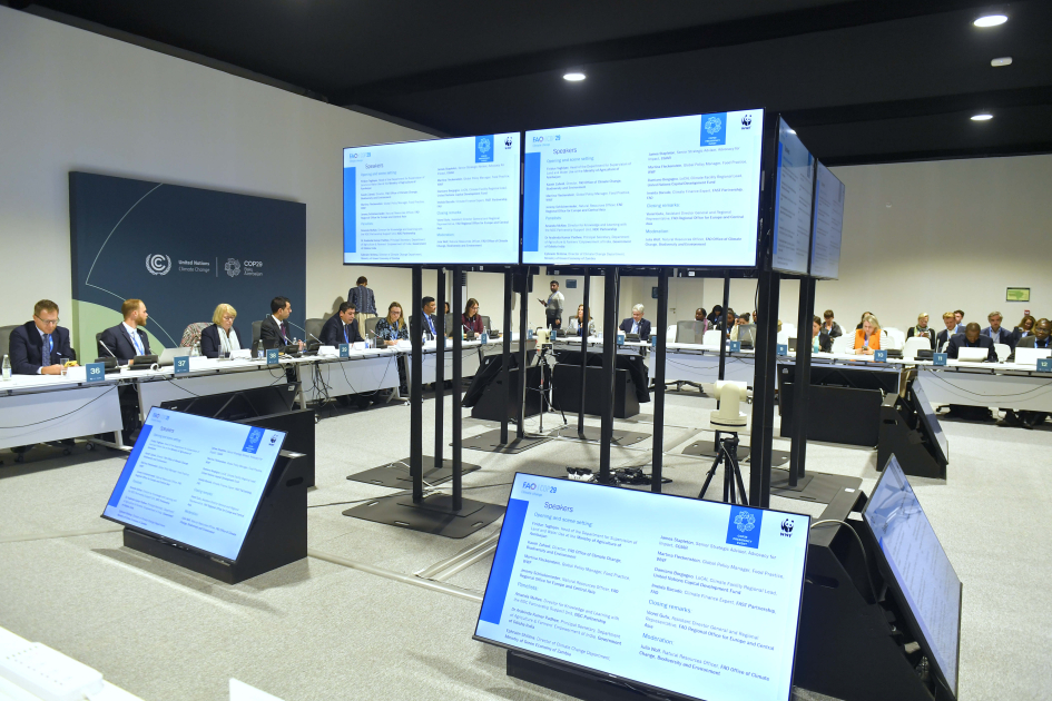 Qlobal ərzaq təhlükəsizliyinin təminatında COP29 çərçivəsində görülən işlər mühüm rol oynayacaq