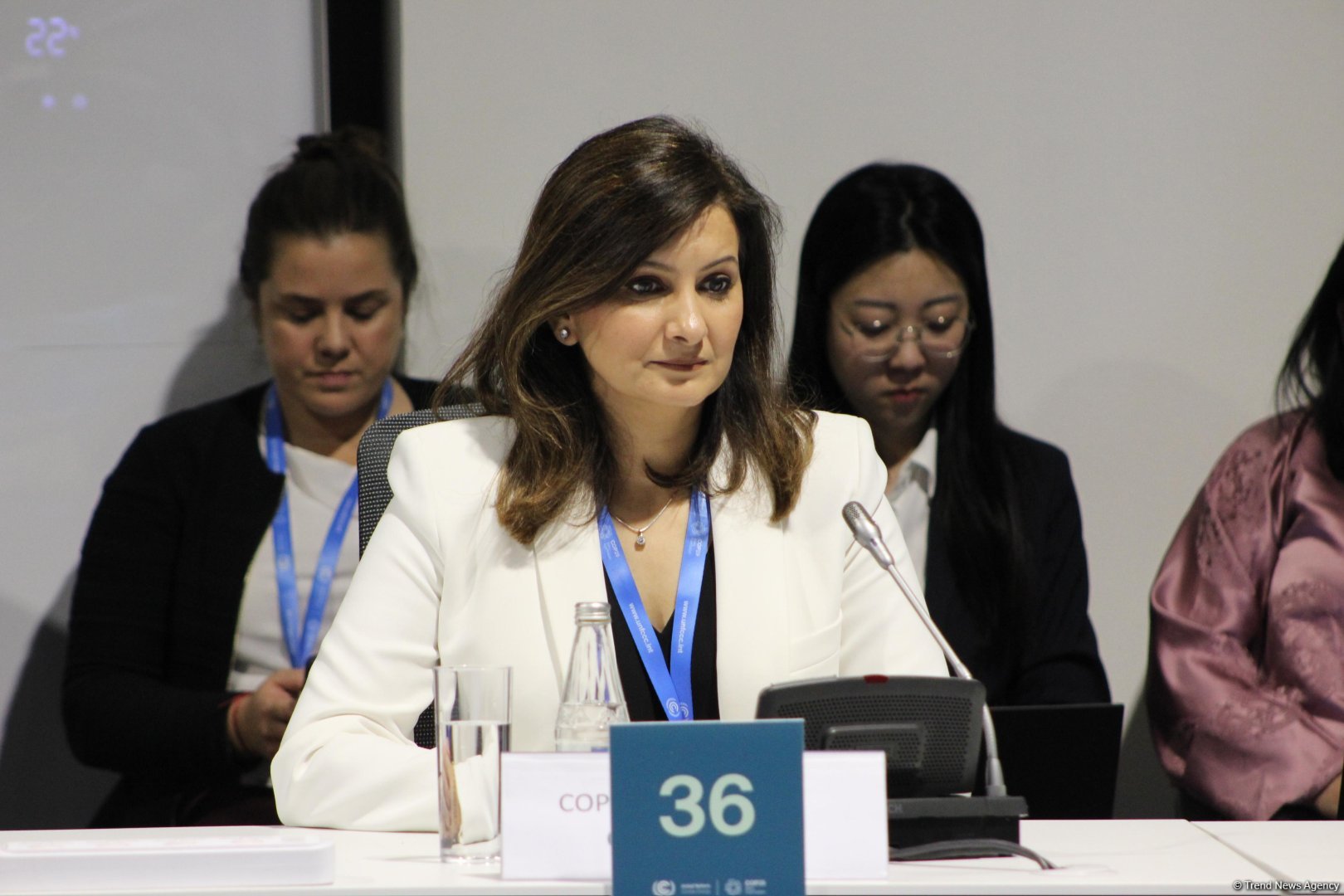 COP29-da Yaşıl tikinti və binalarda enerji səmərəliliyi və şəhərlərdə iqlimə davamlılıq mövzusunda Yüksək Səviyyəli Dəyirmi Masa keçirilib (FOTO)