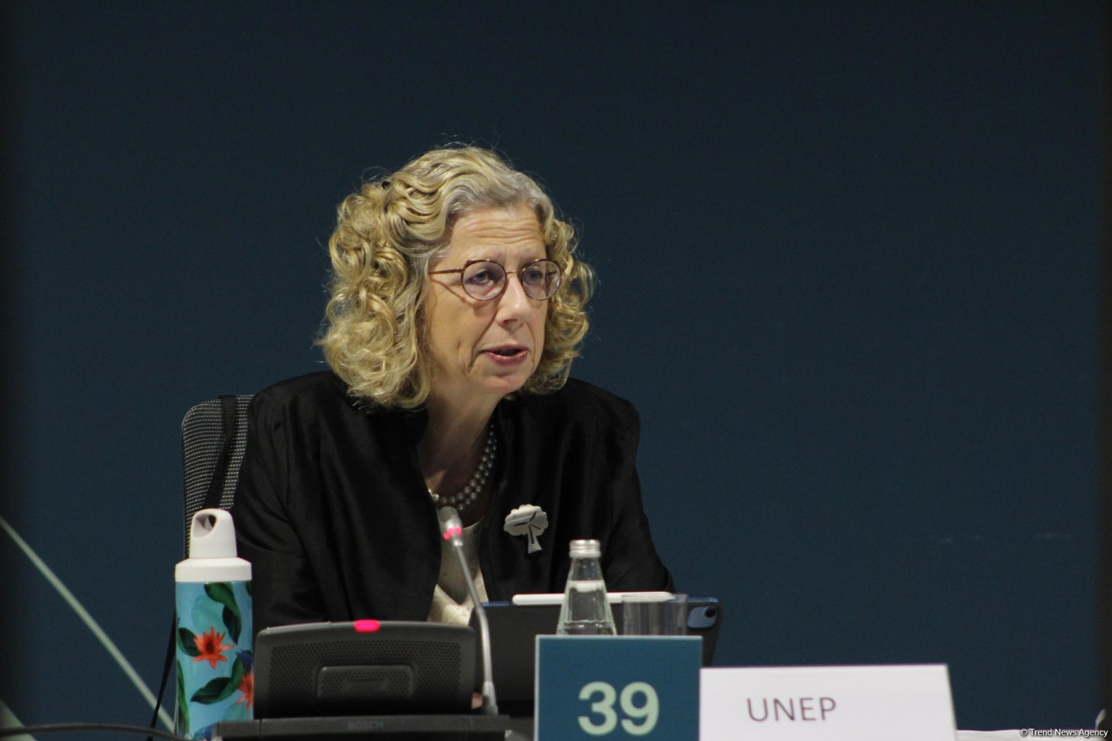 COP29-da Yaşıl tikinti və binalarda enerji səmərəliliyi və şəhərlərdə iqlimə davamlılıq mövzusunda Yüksək Səviyyəli Dəyirmi Masa keçirilib (FOTO)