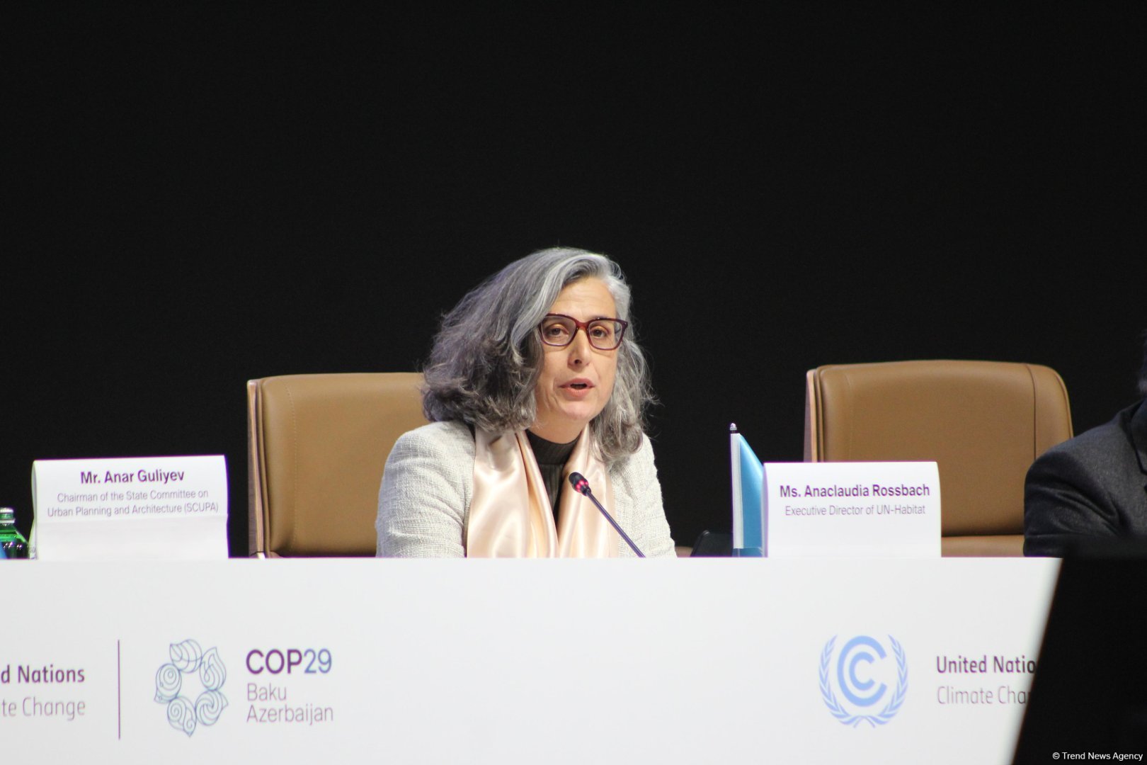 COP29-da çoxsəviyyəli və çoxsektorlu iqlim fəaliyyətinə dair  yüksək səviyyəli açılış mərasimi keçirilib (FOTO)